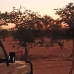 As a volunteer with the desert elephants in Damaraland/Namibia