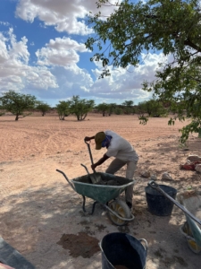 Als Volunteer bei den Wüstenelefanten im Damaraland/Namibia
