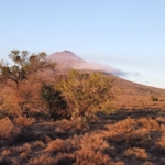 Von Herzensprojekten und Störgrößen...