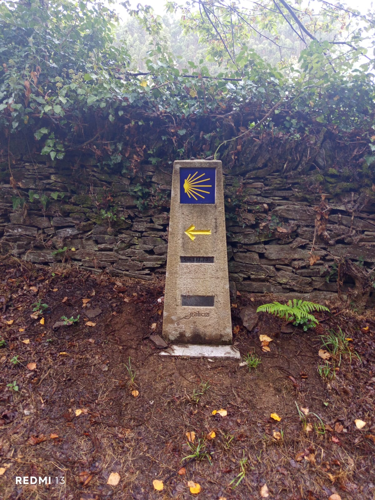 "Pinkeln in Abfahrtshocke" - Eindrücke vom Camino Primitivo