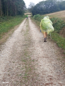 "Pinkeln in Abfahrtshocke" - Eindrücke vom Camino Primitivo