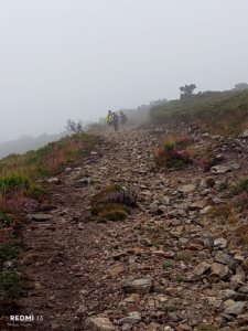 "Pinkeln in Abfahrtshocke" - Eindrücke vom Camino Primitivo